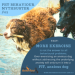 Pet Behaviour Mythbuster #2_ Exercise